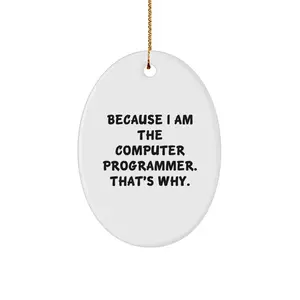 Funny Computer Programmer Oval Ornament Gifts from Friends for Christmas - Because I Am The Computer Programmer. That's Why.