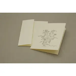 Botanical Abutilon Parishii Card Pack of 5