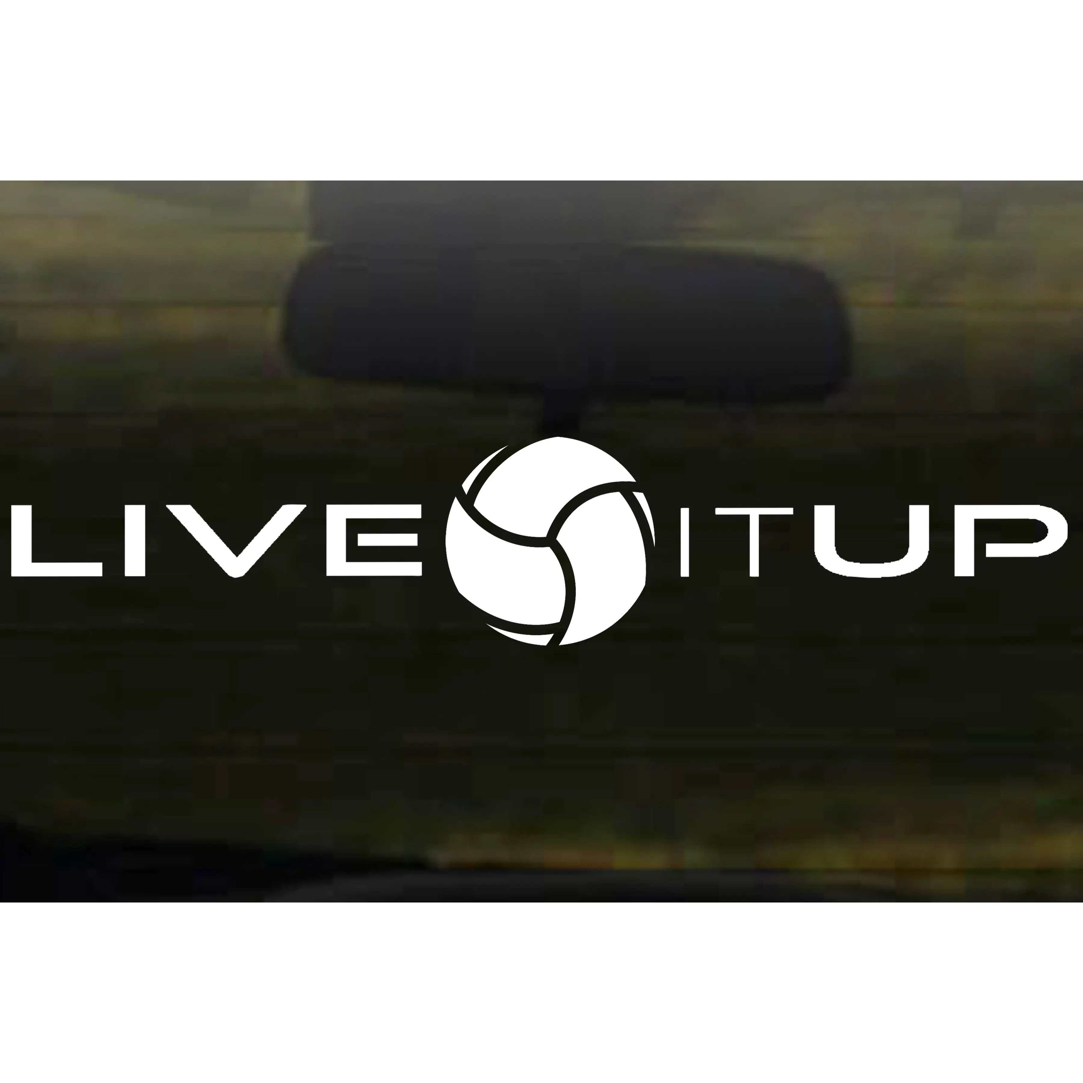 Volleyball Vinyl Decal