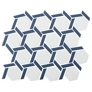 Cosmos Hex Wheel Mosaic Tile