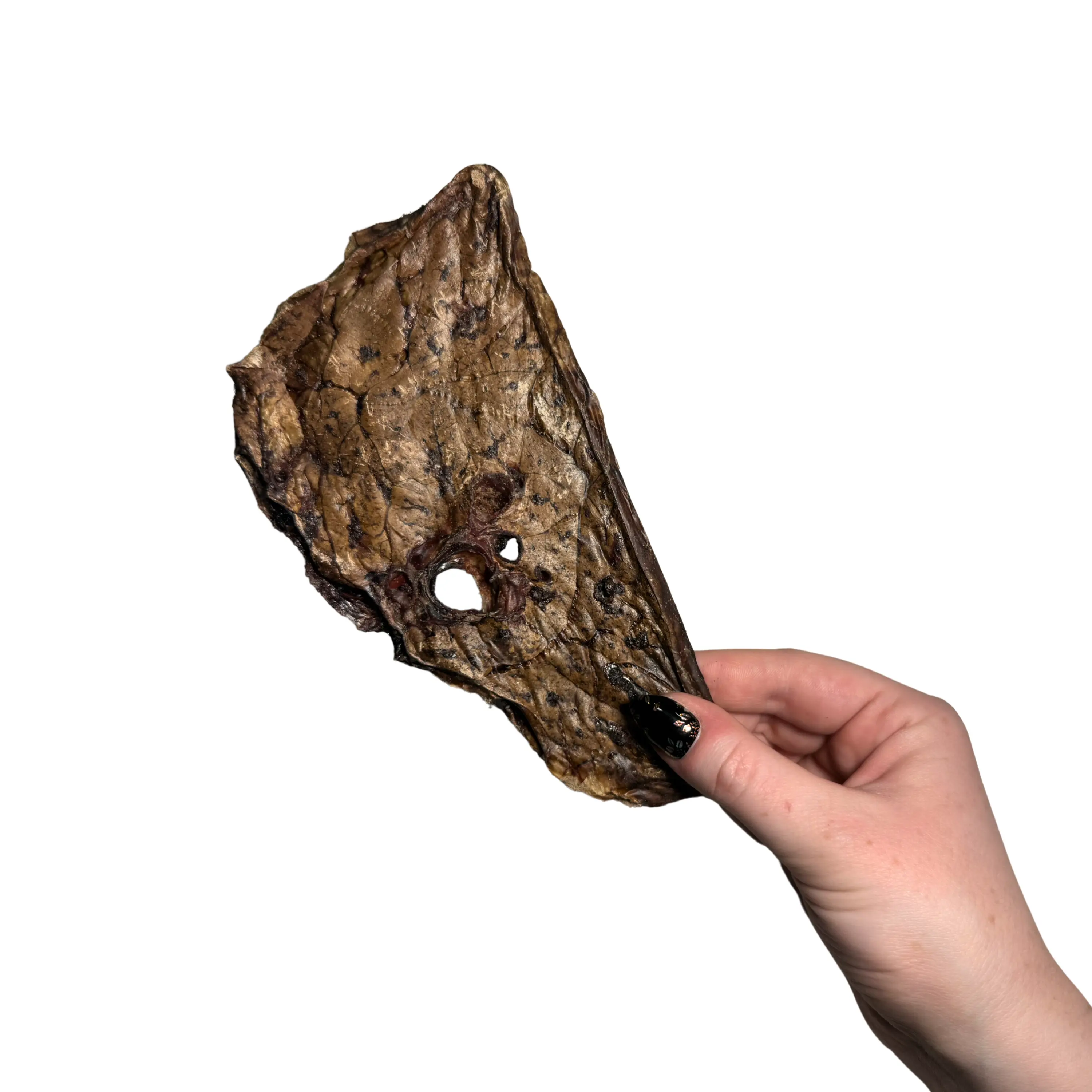 beef lung beef lung