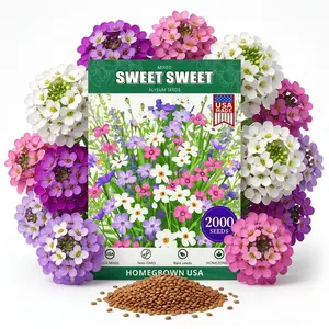 Perennial Sweet Alyssum Seeds - 2000 Pieces Mix colors Lobularia Maritima Seeds for Ground Cover, Pollinator-Friendly Gardens, Drought-Tolerant Landscaping, Easy-to-Grow in USDA Zones 7-9