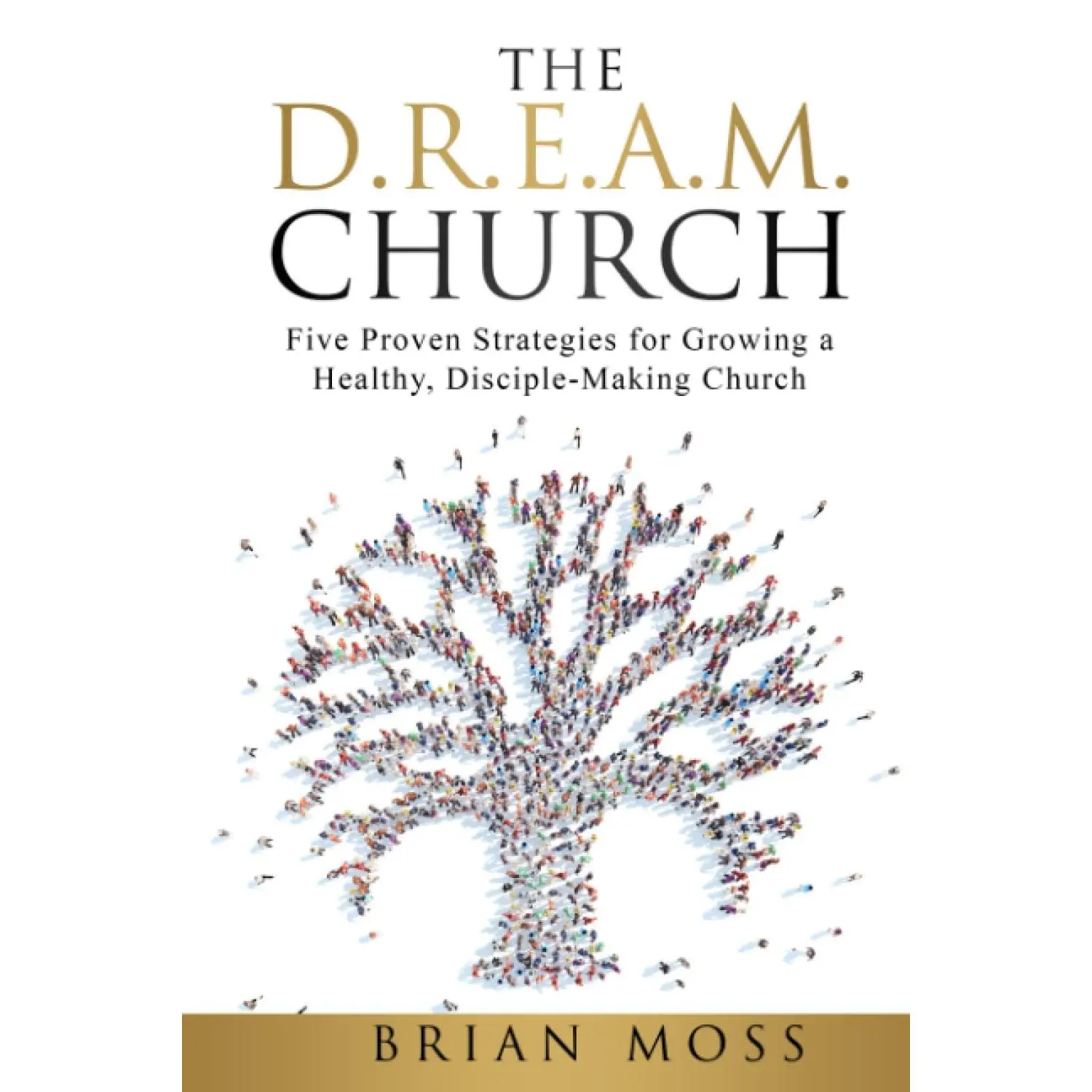 The D.R.E.A.M. Church: Five Proven Strategies for Growing a Healthy, Disciple-Making Church