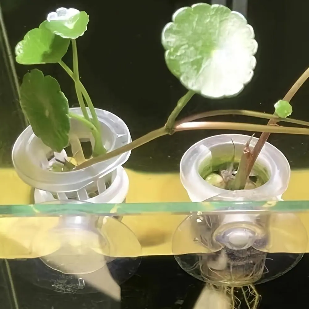 Transparent Fish Tank Plant Holder, Aquatic Plants, 4 Counts/set Mini Water Planting Cup, Aquarium Plant Basket, Fish Tank Planting Cup, Aquarium Decoration Supplies, Fish Tank Decorations