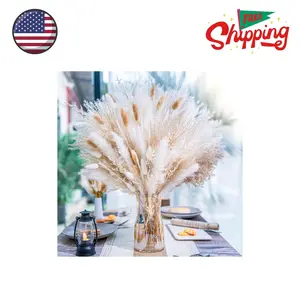 95 PCS Natural Pampas Grass Decor Bouquet, Boho Decor, Natural, white, beige