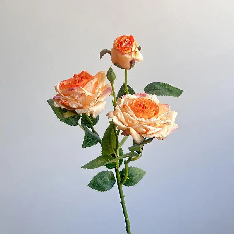 Orange retro 3-head rose