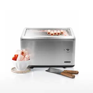 Whynter ICR-300SS Portable Instant Rolled Ice Cream Maker with Compressor Frozen Pan Roller, Stainless Steel