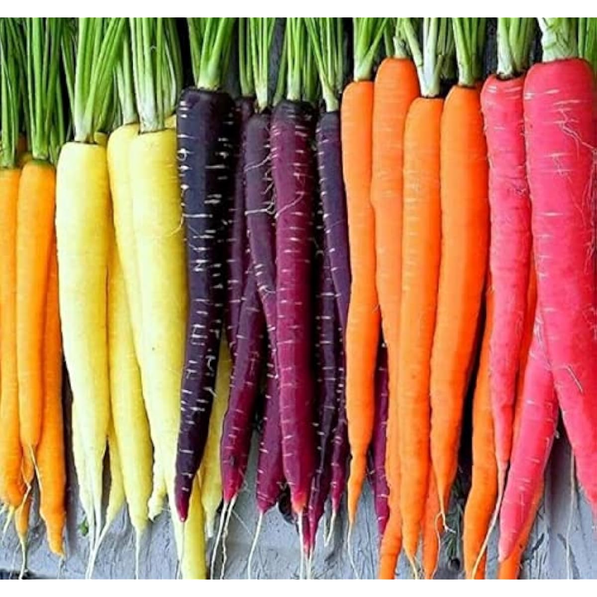 Rainbow Carrot Seeds for Planting  Packets 750 Seeds – Plant & Grow Rainbow Carrots in Home Outdoor Garden, Great Gardening Gift – 1 Packet