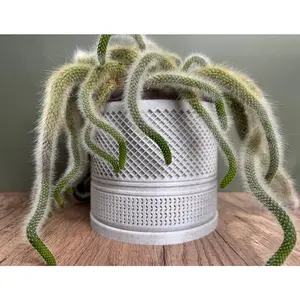 Palestinian Keffiyeh Plant Pot