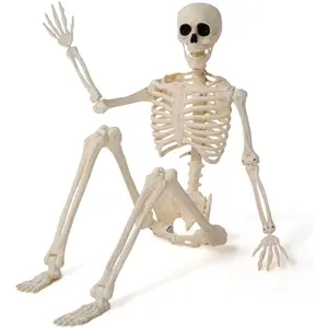 36" Halloween Skeleton Decor, 3FT Full Body Stayable Movable Joints, Posable Hanging Skeletons for Halloween Decoration, Yard, Graveyard, Haunted House Props, Spooky Scene Party Favor
