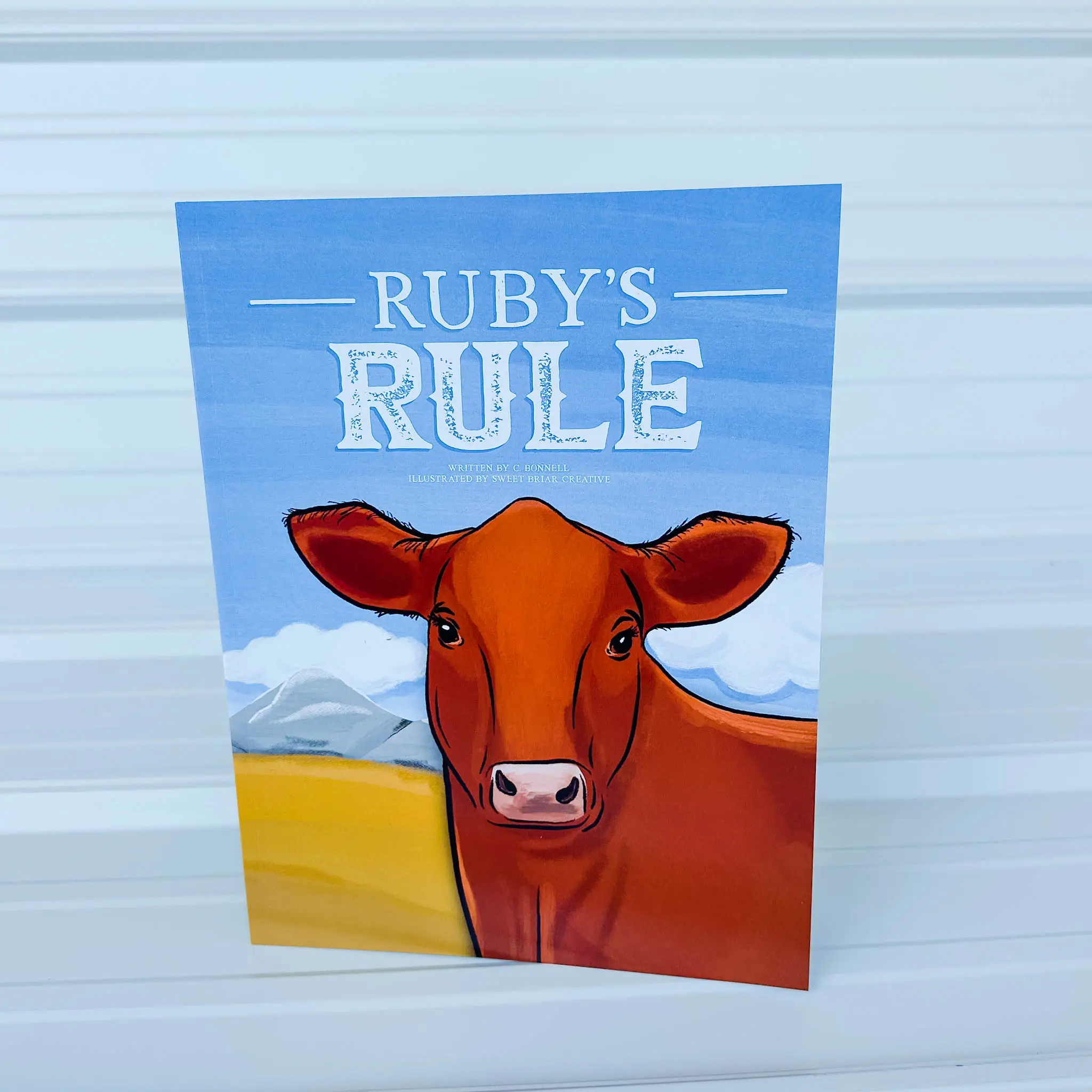 Ruby's Rule Children's Book