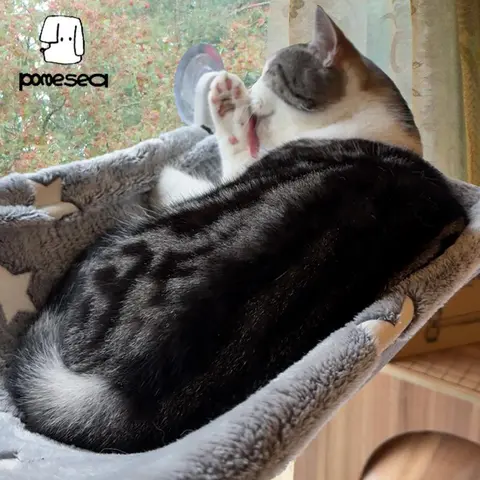 POMESEA Geometric Nylon Mesh Cat Hammock - 23.3"l x 11.4"w x 7.1"h Perch, 44lb-Capacity Strong Suction Cups, Cordless Easy Assembly, Metal Frame, Plastic Secure Base, Glow-in-the-Dark for Day & Night Use, Machine Wash, Foldable Storage (Fits Small Dogs)