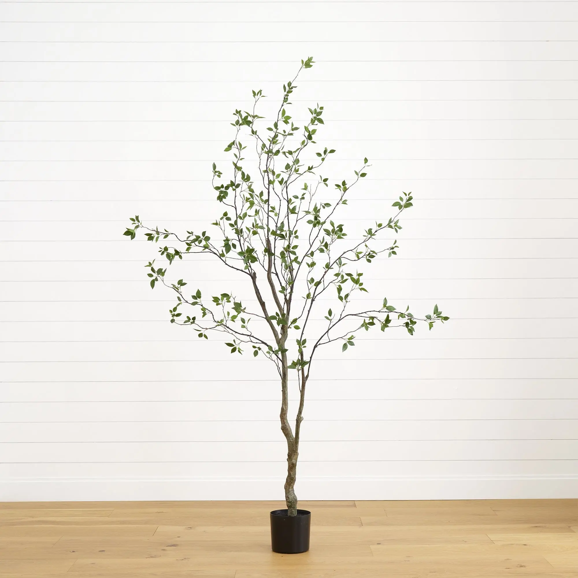 8' Minimalist Decorative Indoor Artificial Citrus Olive Tree - Faux Plant Artificial Trees, All Seasons Indoor Plant for Home Bare Corner, Botanical Room Accent