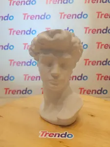 ️ Classic David Bust Planter – 6x9x7