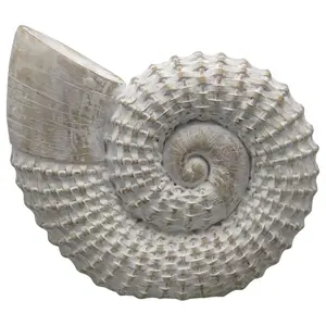212 MAIN Woven Sea Shell Embellished Figurine - 12x11in White Shell Motif Ornament, Polyresin Base, Indoor Home Decor Display Statue