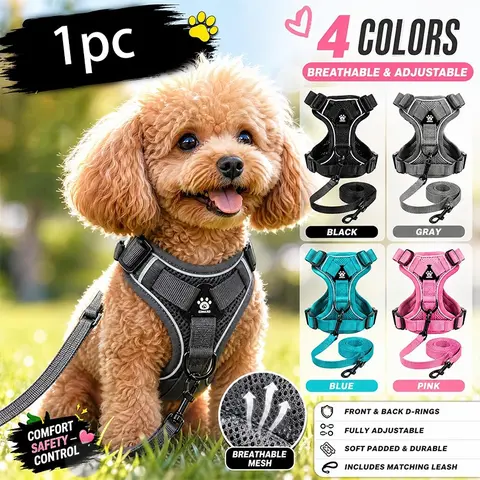 Dog Harness Leash Set, Leash Combo, Breathable Mesh Reflective Anti-Slip Adjustable Pet Harness for Small Dogs, Daily Walks Outdoor Night Safety