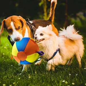 45cm Large Dog Training Ball with Handles - Interactive Tug & Fetch Toy for Big Dogs