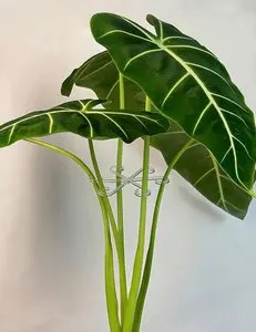 4pcs Plant Supports, Sturdy Climbing Plant Stem Clips, Vine Holders, Indoor Flower Stem Fixer, Plastic Gardening Tools, Clear Color, Suitable for Climbing Plants, Garden, Home, Bedroom, Wedding, Camping, Autumn Decor, Valentine's Day, Easter