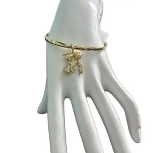 Beautiful bangle for women