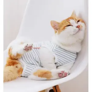 Cat Recovery Suit - Kitten Onesie for Cats After Surgery, Cone of Shame Alternative Surgical Spay Suit for Female Cat, Post-Surgery or Skin Diseases Protection -Coral(S)