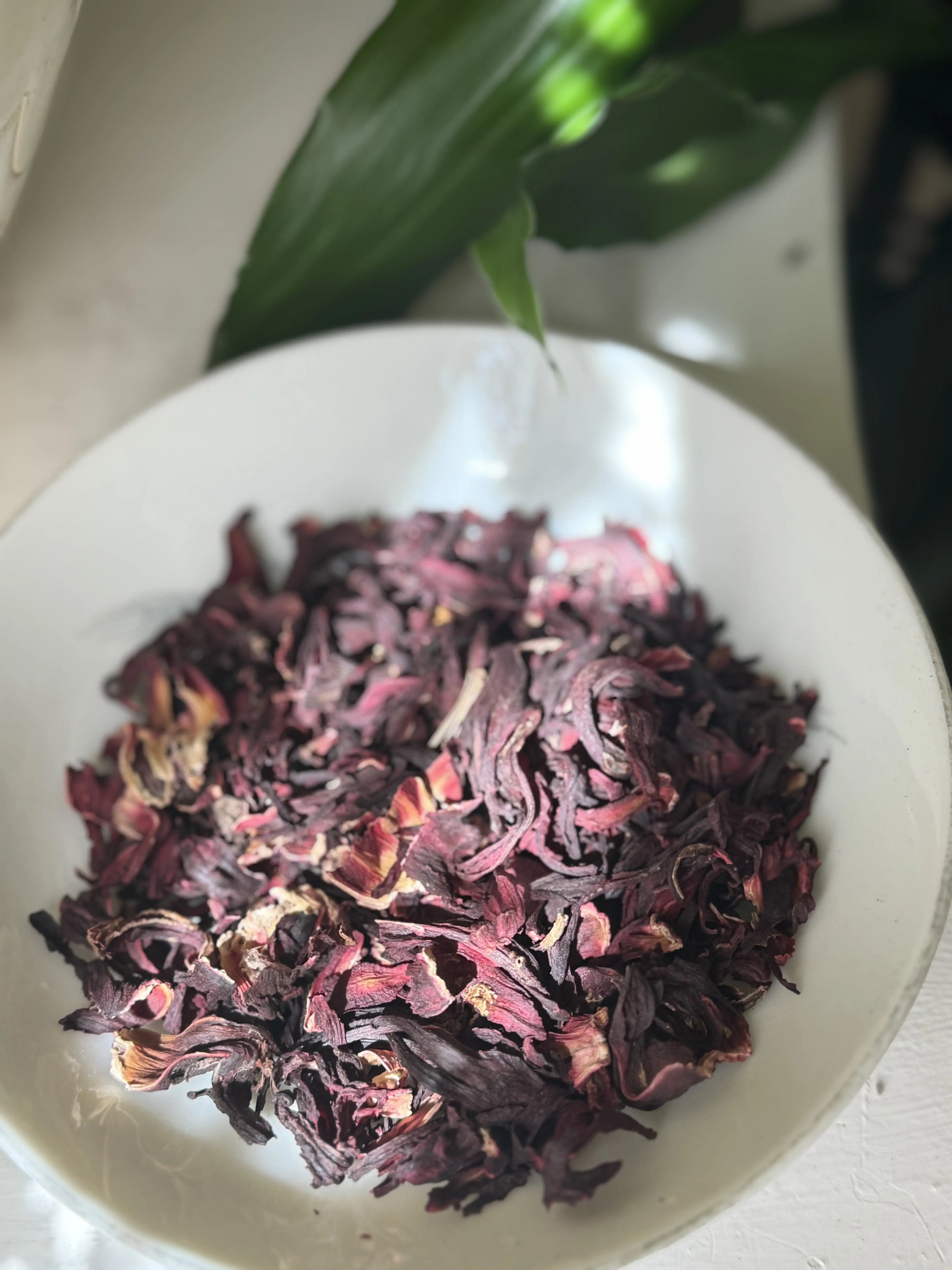 Take Me to the Country- Organic Hibiscus Flower