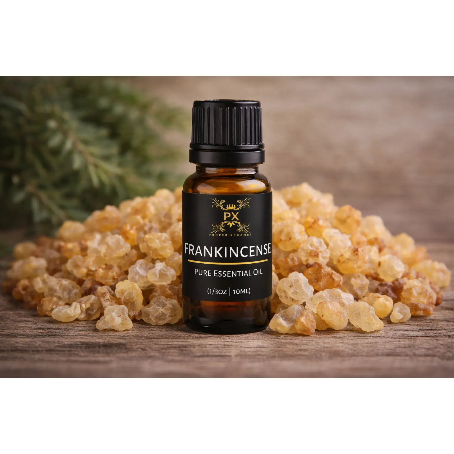 Organic Frankincense Carteri Essential Oil