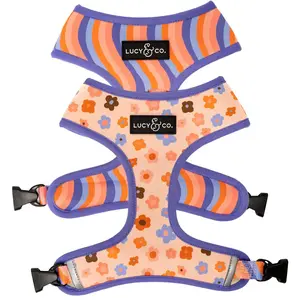 The Let's Groove Reversible Dog Harness