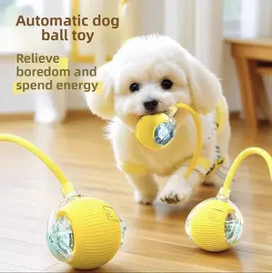 electric pet toy