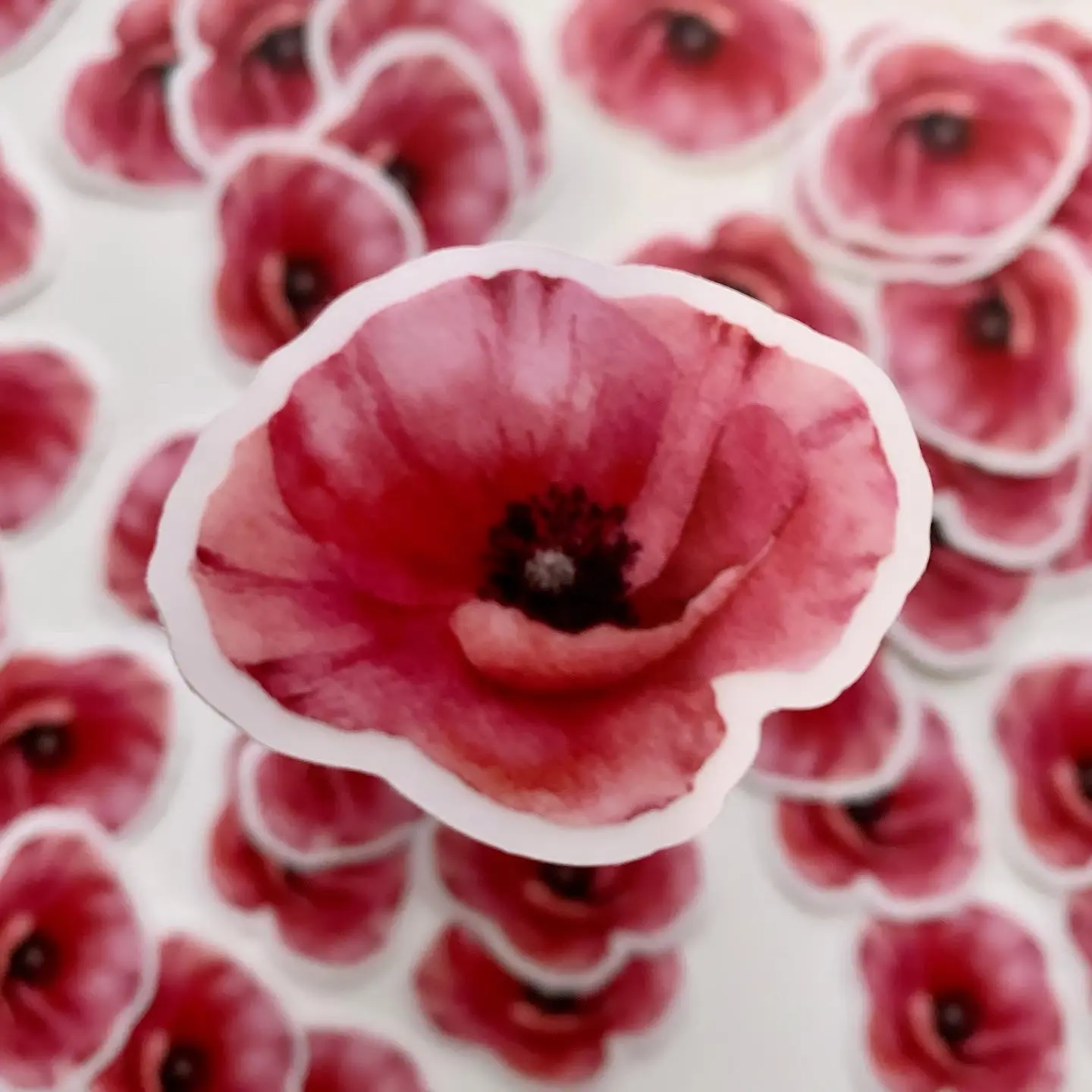 Poppy Mini Clear Vinyl Sticker - TikTok Shop