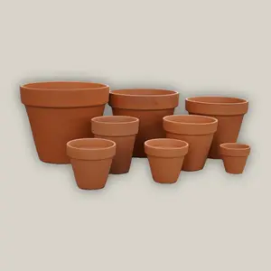 Terracotta Standard  Pot