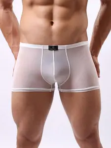 DomiGe 1pc White Sexy Lingerie, Elastic Mesh See-Through Low Waist Men's Briefs