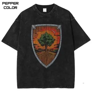 A Knight of the Seven Kingdoms Graphic T-Shirt, Duncan The Tall Shield Shirt, games Shirt, Unisex Streetwear Tee, cotton crewneck shirt, Gift Men Women