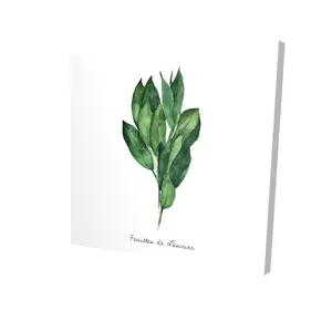 Begin Home Decor 2080-2424-GA91-2 24 x 24 in. Bay Leaves Bundle Canvas Art - Home Decor - Leaves White