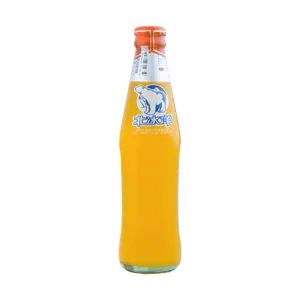 ARCTIC OCEAN Orange Soda - Authentic Old Beijing Flavor, 248ml Bottle, Refreshing Citrus Drink