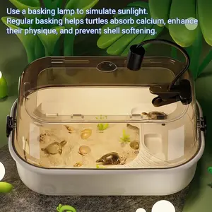 Plastic Small Turtle Tank with Transparent Lid, Reptile Terrarium Kit with Basking Lamp & Water Filter, Eco - Friendly Automatic Habitat for Turtles