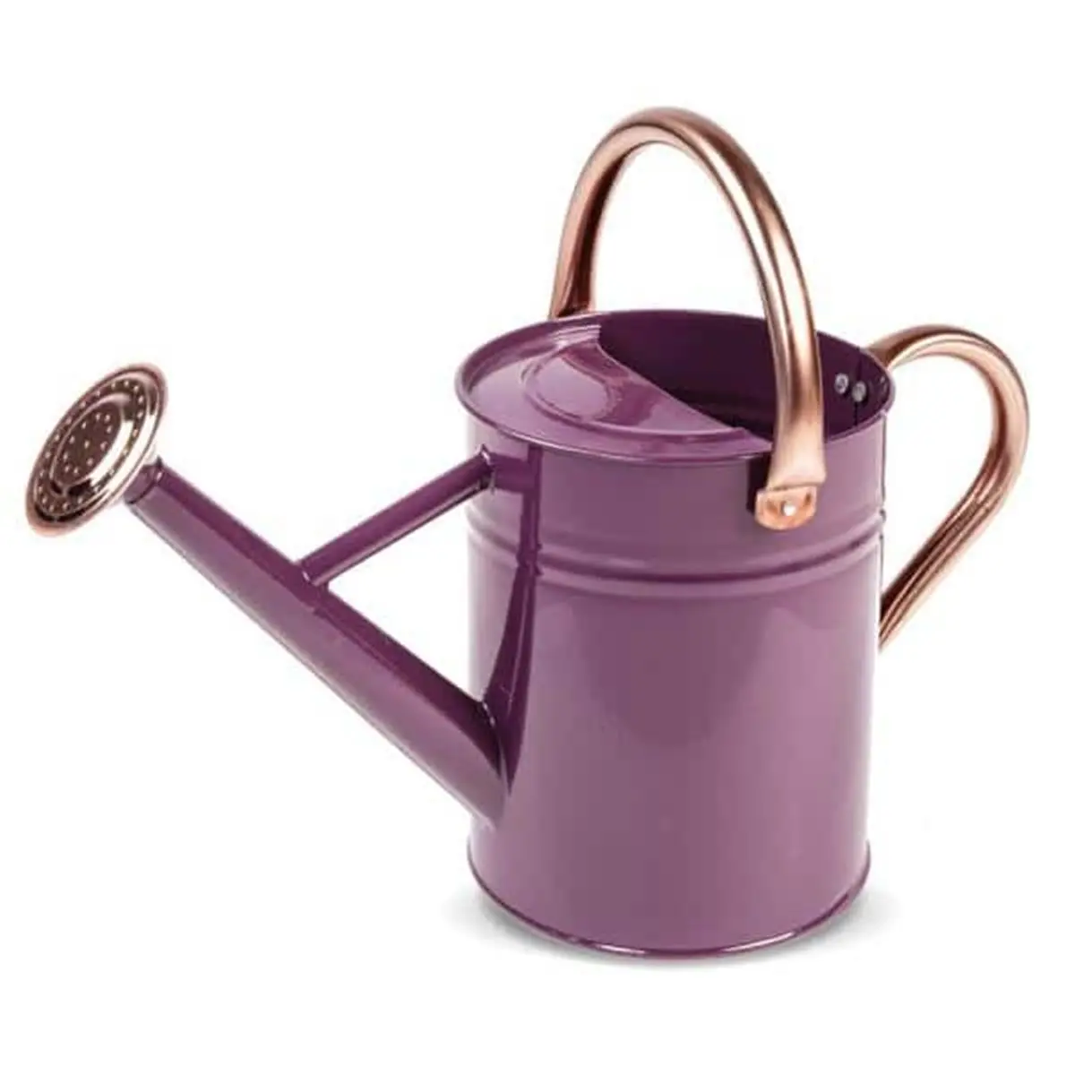Gardman 1 Gal Galvanized Metal Watering Can - Violet & Copper, Cylindrical Body with Removable Spout, Single Unit Vegetable Garden & Water-Filled Watering Equipment, Home Improvement Garden Accessory, Vegetable Garden Watering Equipment
