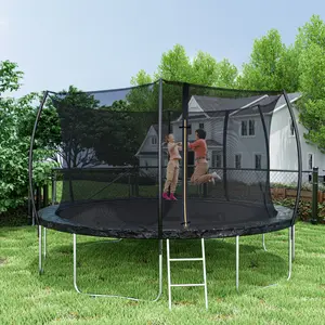 14FT Trampoline (Double-side color pad) ,  Trampoline for Kids and Adults with Enclosure Net and Ladder,Curved fence pole
