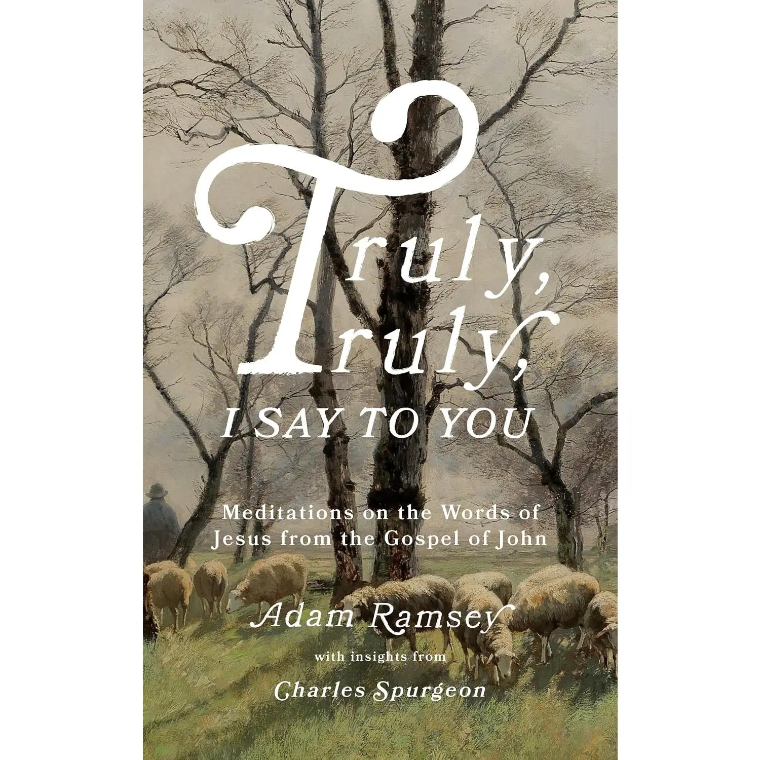 Truly, Truly, I Say to You: Meditations on the Words of Jesus from the Gospel ofJohn (40 Devotions for Lent / Lenten Devotional / Time with Jesus Every Day)