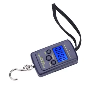 Fish Scales Weight, Weight Scales, Fishing Postal Hook Load 40kg with LCD Display for Fishing Retails Delivery