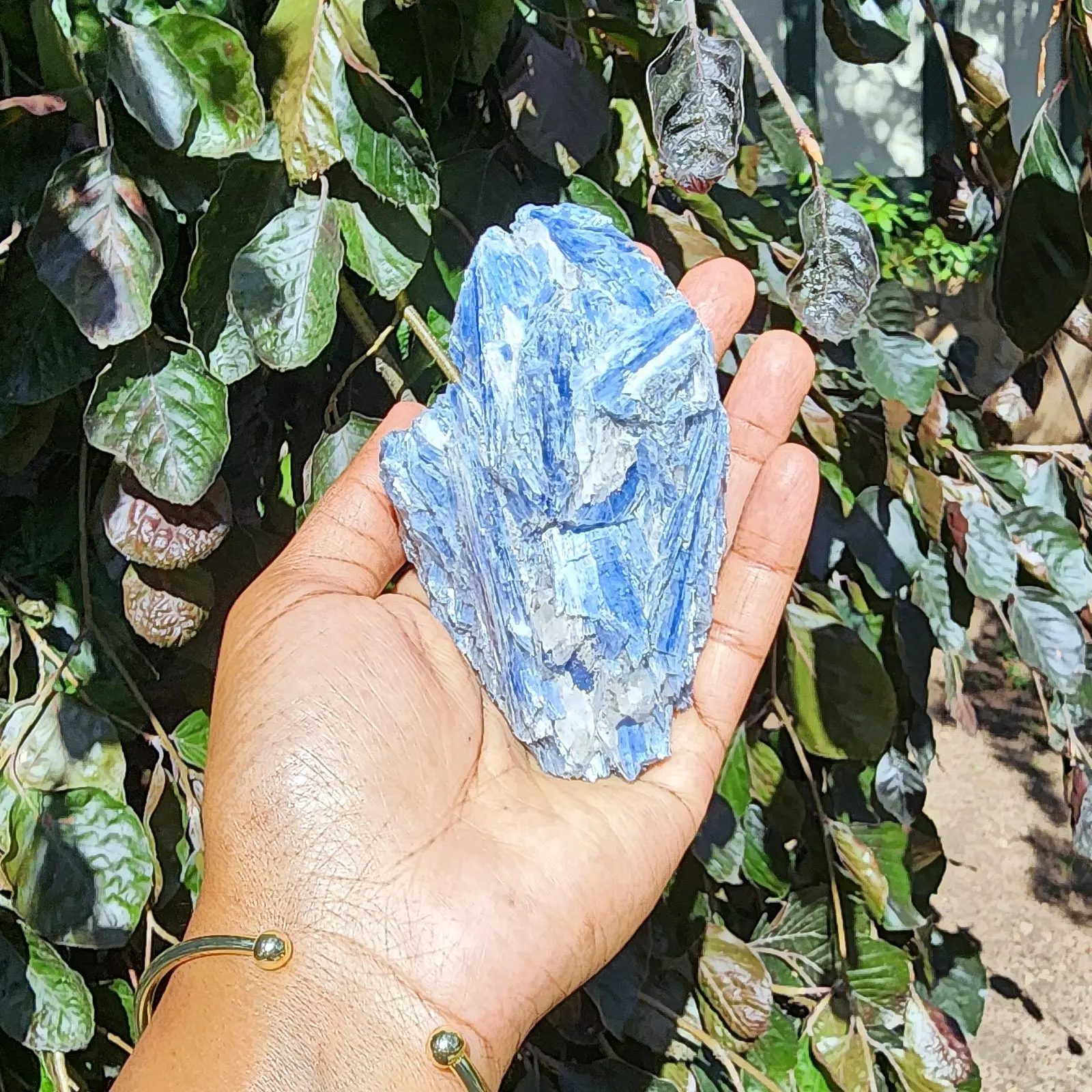 Huge Blue Kyanite Specimen with Quartz Inclusions