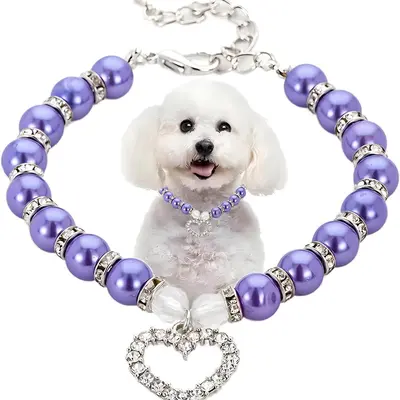 Dog with Pearl Necklace TikTok Shop - Main Image