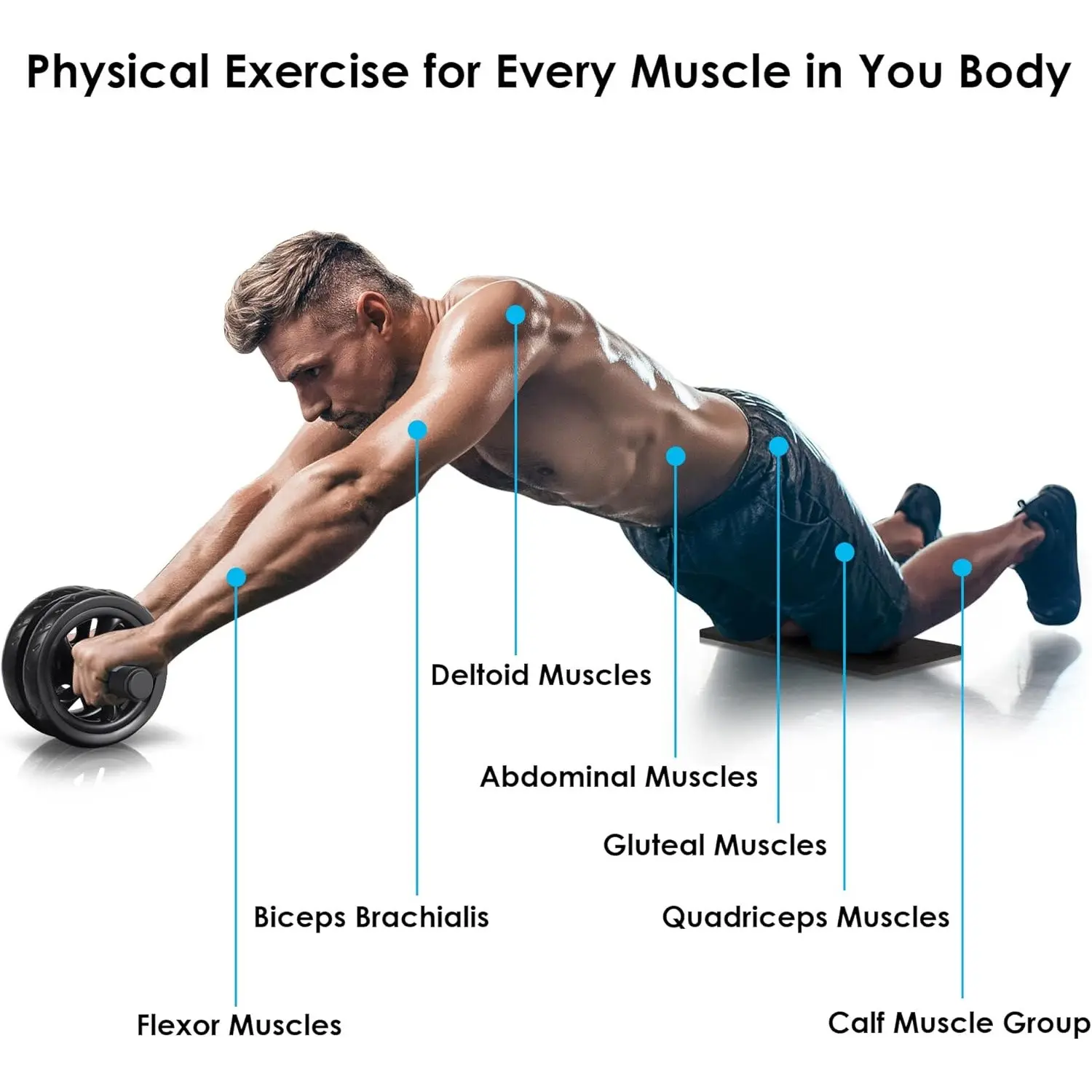 Home Professional Abdominal Roller, Abdominal Workout Wheel, Fitness Equipment, Abdominal Exercise Equipment, Core Abdominal Trainer, Silent Design, Thick Knee Pad, Comfortable Grip, Easy to Use, Waist and Belly Workout