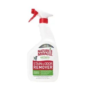 Dog Stain and Odor Remover, Everyday Mess Enzymatic Formula, 32 fl oz