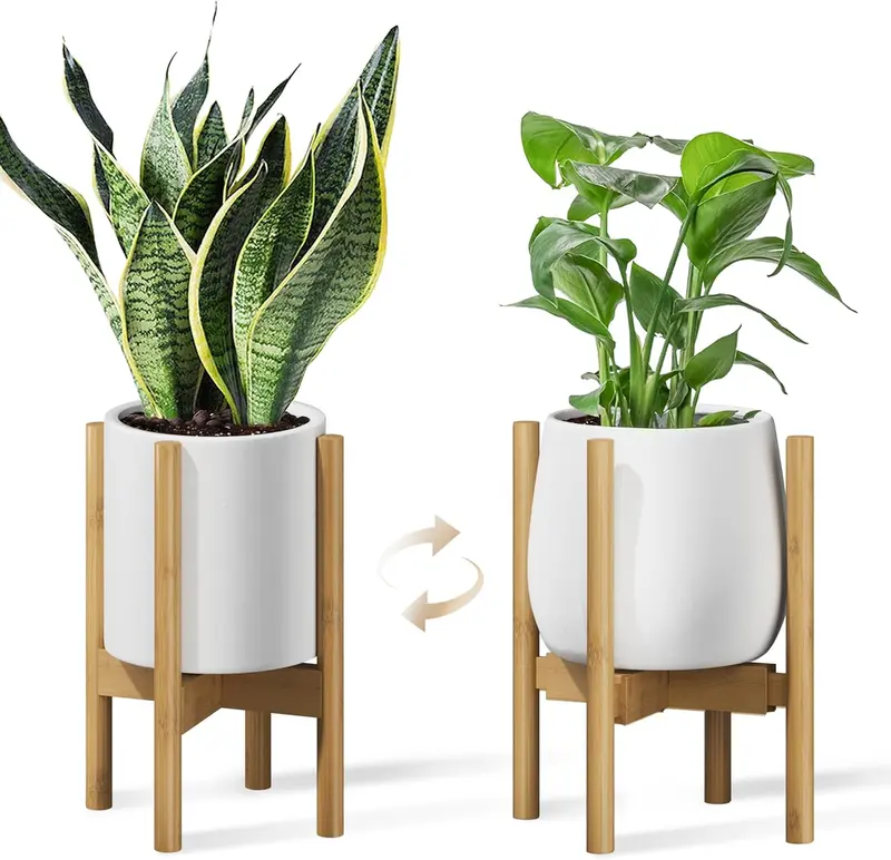 single plant stand - TikTok Shop