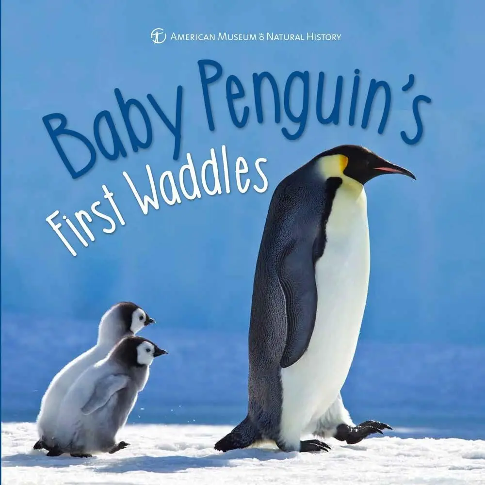 USED-Baby Penguin's First Waddles by Richmond, Ben (Hardcover)