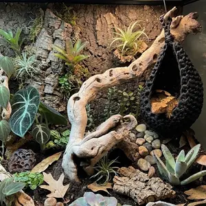 Reptile Paracord Basket Hide Hammock, Gecko and Lizard Terrarium Decoration and Habitat Enrichment