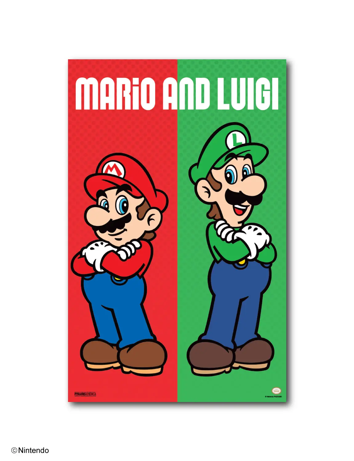 Super Mario™: Mario & Luigi Duo Poster (11x17)
