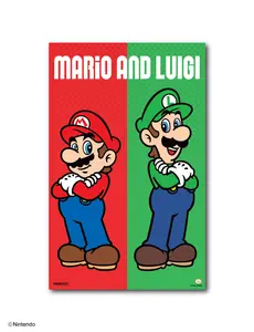 Super Mario™: Mario & Luigi Duo Poster (11x17)