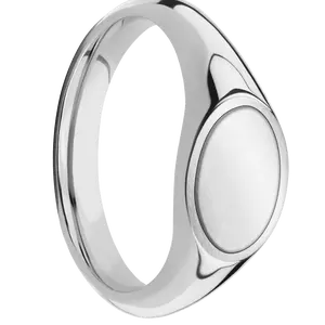 Small Horizontal Oval signet ring (12x9mm) in Cobalt Chrome, with a Wide style band, a Platinum inlay.