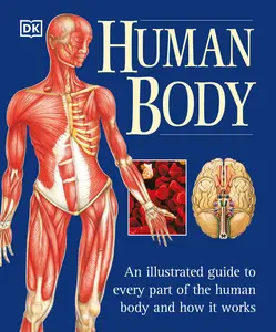 USED-The Human Body: An Illustrated Guide to Every Part of the Human Body and How It Works by Page, Martyn (Paperback)